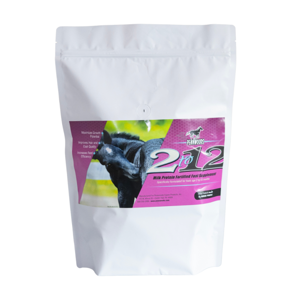 2to12_transparentbg 2 to 12