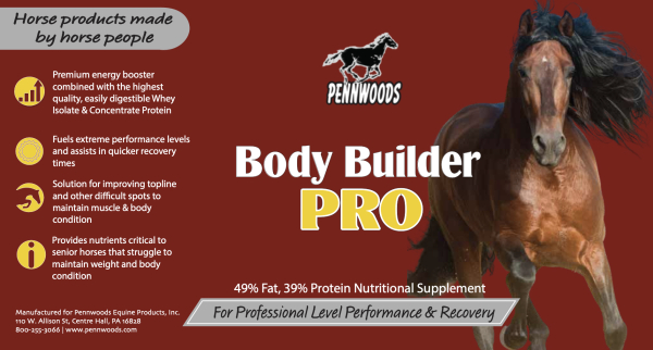 BB Pro Label Body Builder Pro