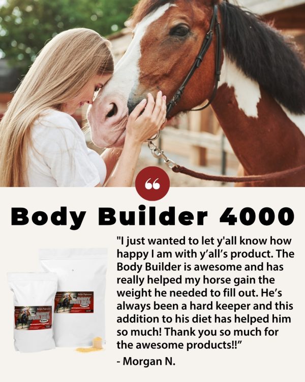 Body Builder 4000