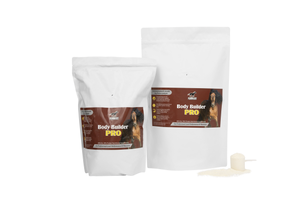 Body Builder Pro Group with scoop Body Builder Pro