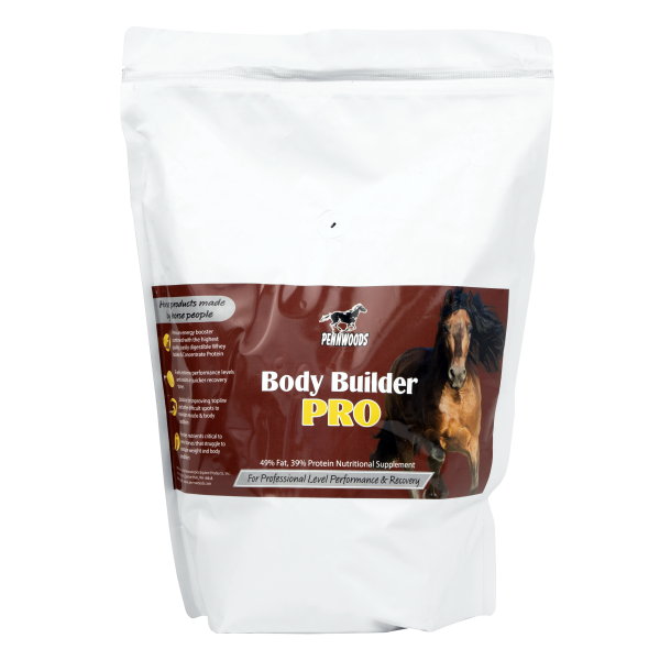 Body Builder Pro, small_thumbnail Body Builder Pro