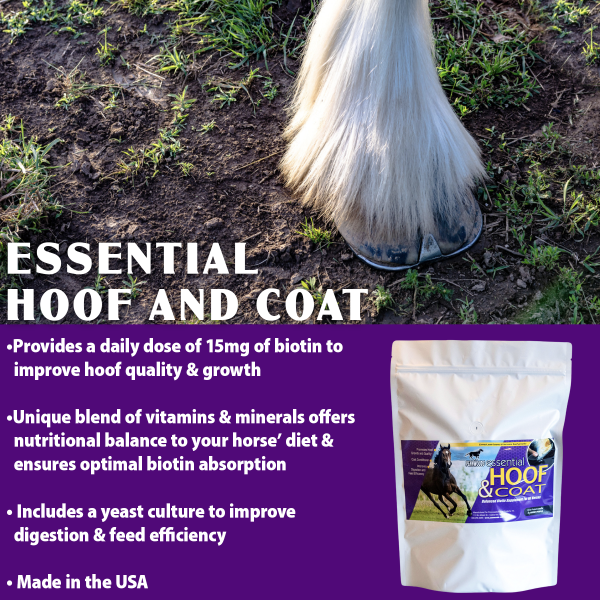 Essential Hofo and Coat_1080x1080_pouch Essential Hoof and Coat