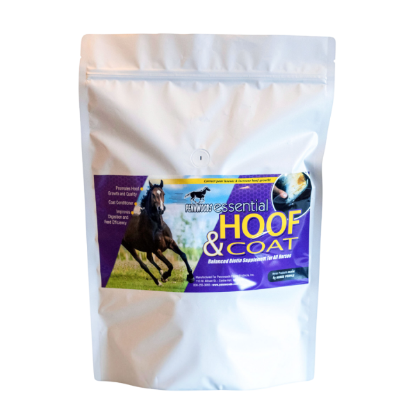 EssentialHoof&Coat_TransparentBackground Essential Hoof and Coat