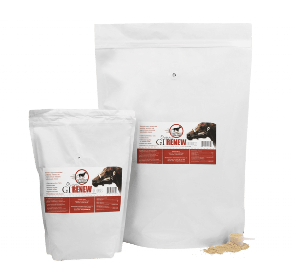 GI Renew