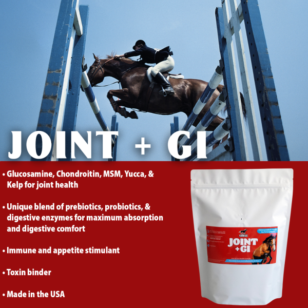 Joint+GI_1080x1080_pouch Joint + GI