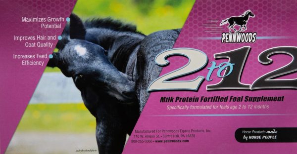 2-to-12-scaled-1.jpg 2 to 12