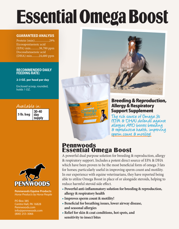 Essential Omega Boost