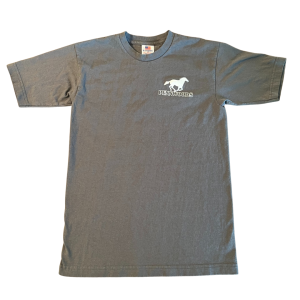 Gray T-shirt (100% Pre-shrunk Cotton)