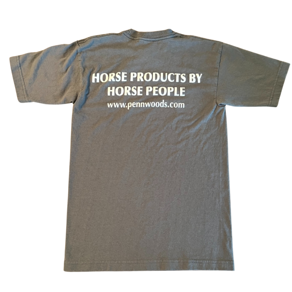 Gray T-shirt (100% Pre-shrunk Cotton)